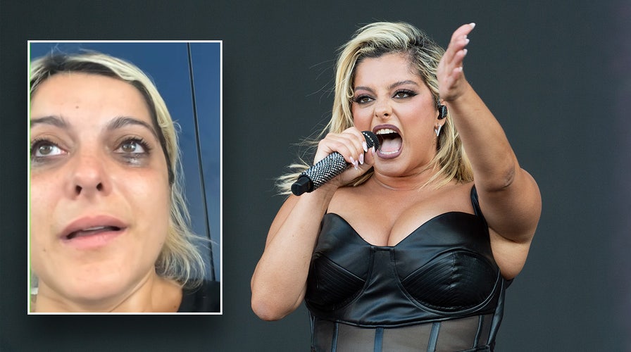 Singer Bebe Rexha hit in head with cell phone