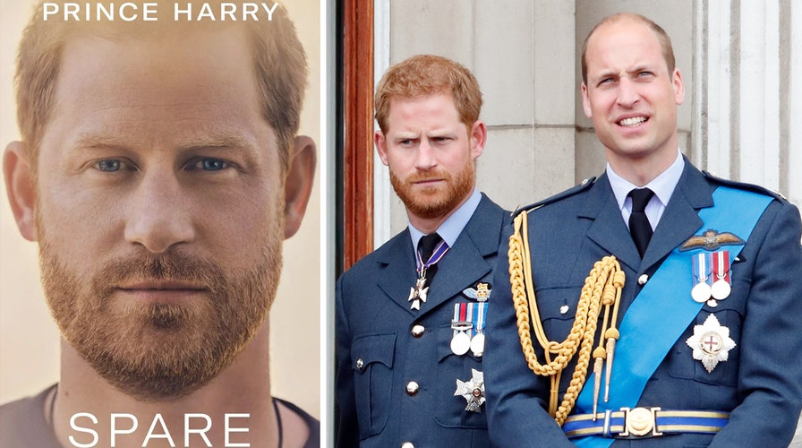 Prince Harry, Prince William need an intervention to end feud: expert