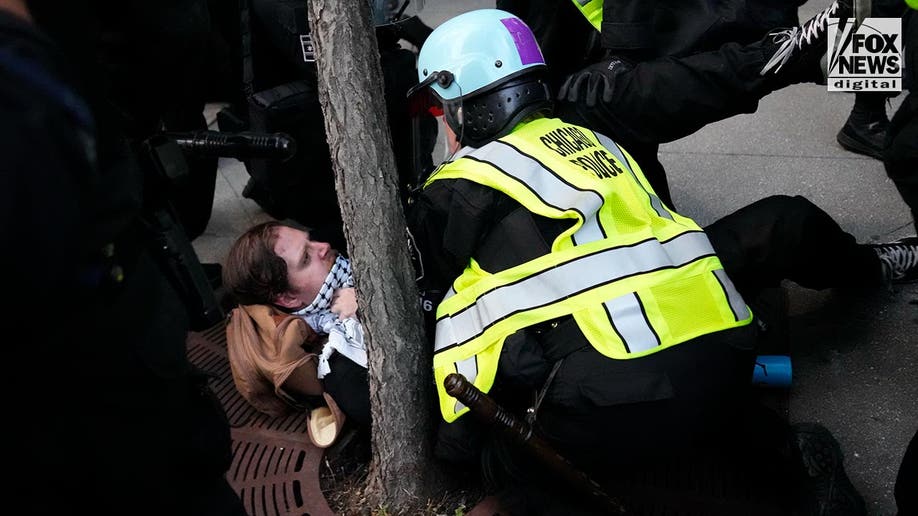 Pro-Hamas demonstrators clash with police