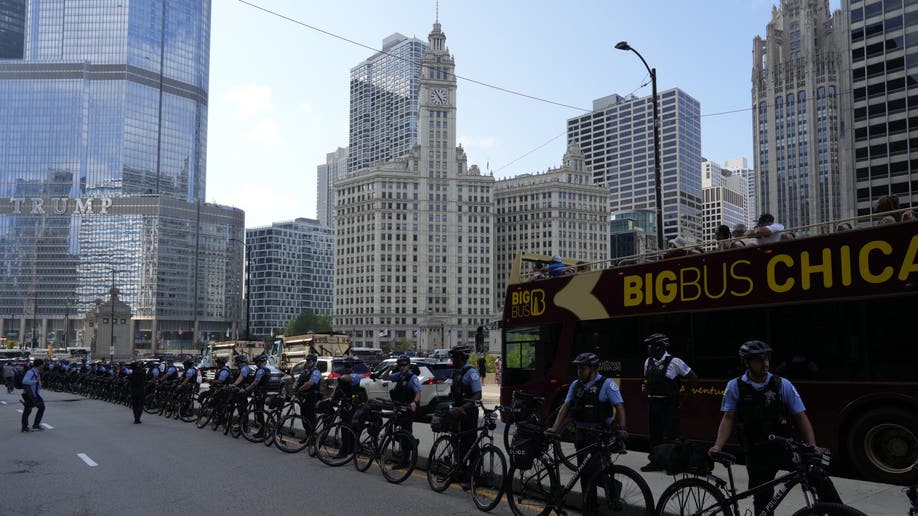 Chicago Police lined up