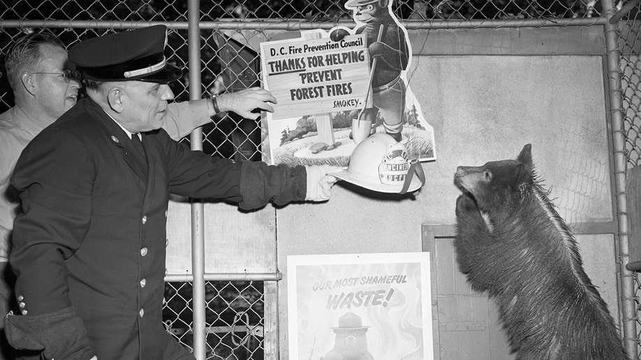 Smokey gets a helmet in the 1950s.