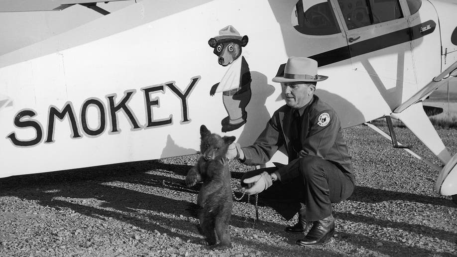 A tiny bear cub named Smokey.