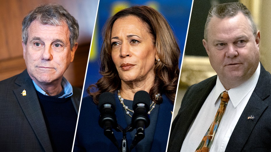 Vulnerable Democrats distance from Harris amid crucial red-state Senate races