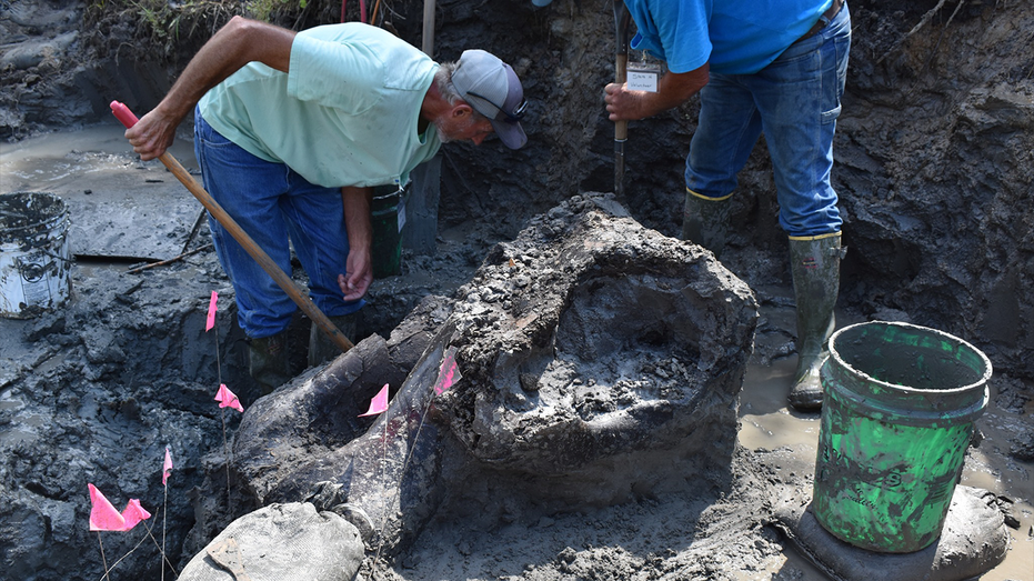 Archaeologists unearth 13,000-year-old mastodon skull in Iowa thumbnail