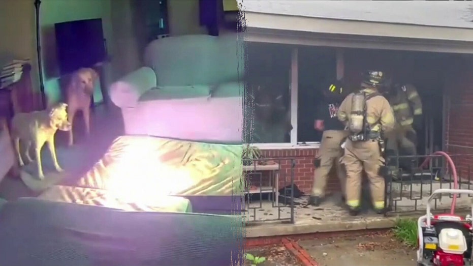 WATCH: Oklahoma dog ignites house fire after chewing on lithium-ion battery