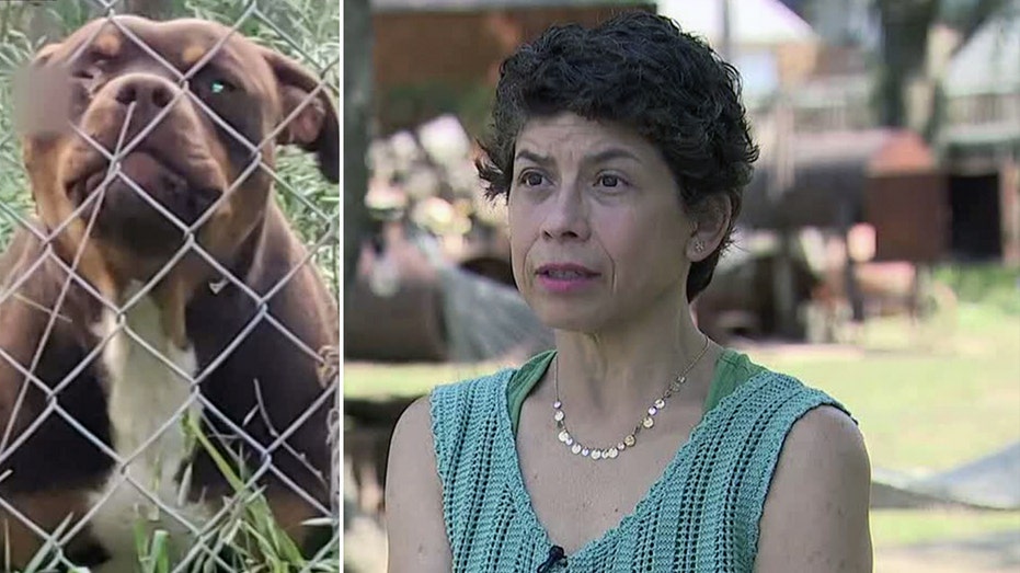 Texas family shoots pit bulls who attacked, killed their livestock: ‘I live in fear for my life’