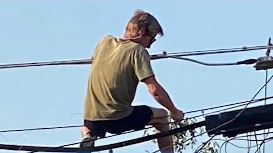 Texas police say thieves swiping copper off power lines ‘right before your eyes:’ ‘They’ll go to any length’