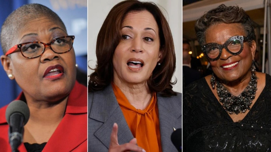 'F--- the White women': Black activists tied to VP Harris could derail Dem 'unity' message with past rhetoric