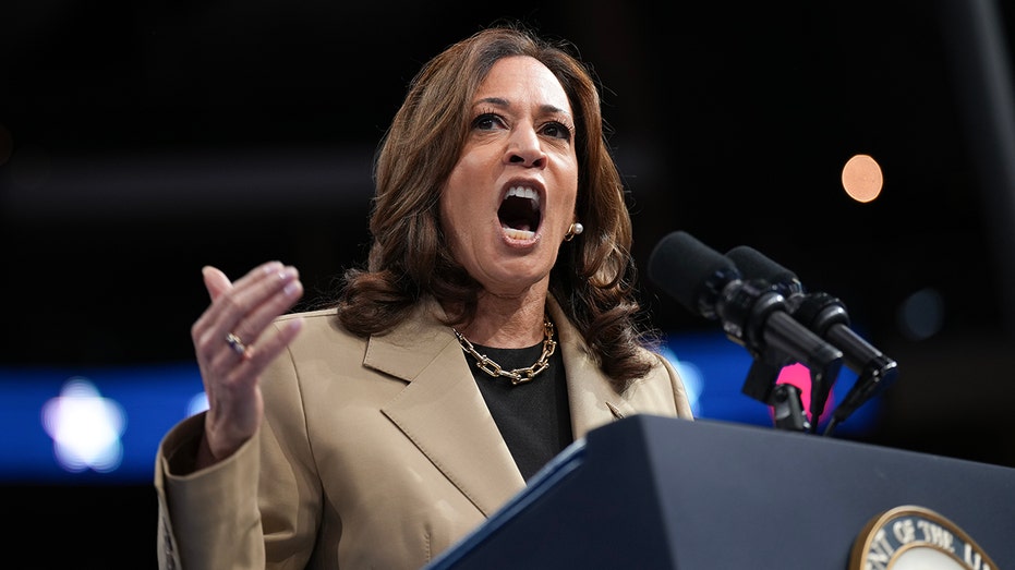 Harris addresses anti-Israel protesters at Arizona rally as crowd tries to drown them out with 'USA!' chants