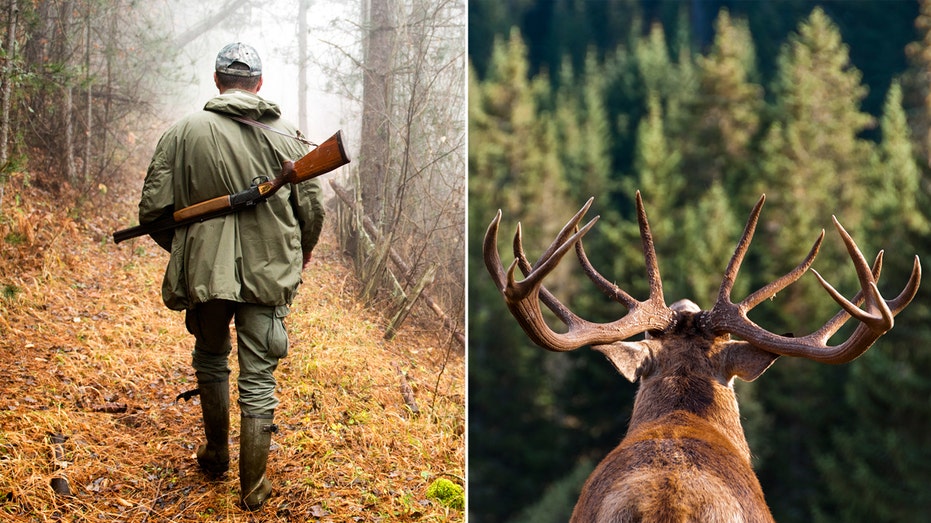 Hunter of beloved ‘Hollywood Buck’ in Virginia faces jail time, loses hunting license for 25-plus years