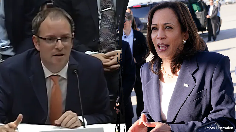 Kamala Harris' choice of Jewish liaison director draws criticism over Israel, Iran stance: 'Red flag'