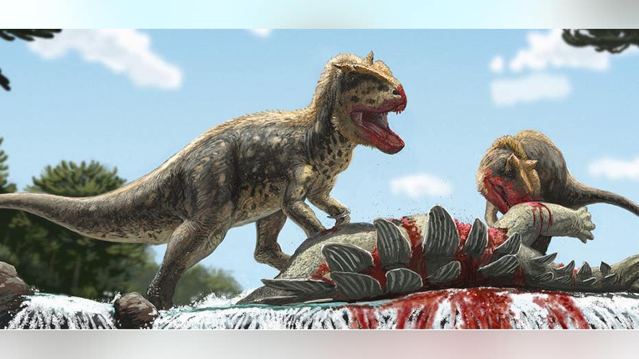 New dinosaur species similar to T. rex found in Asia: 'One of the most significant' discoveries
