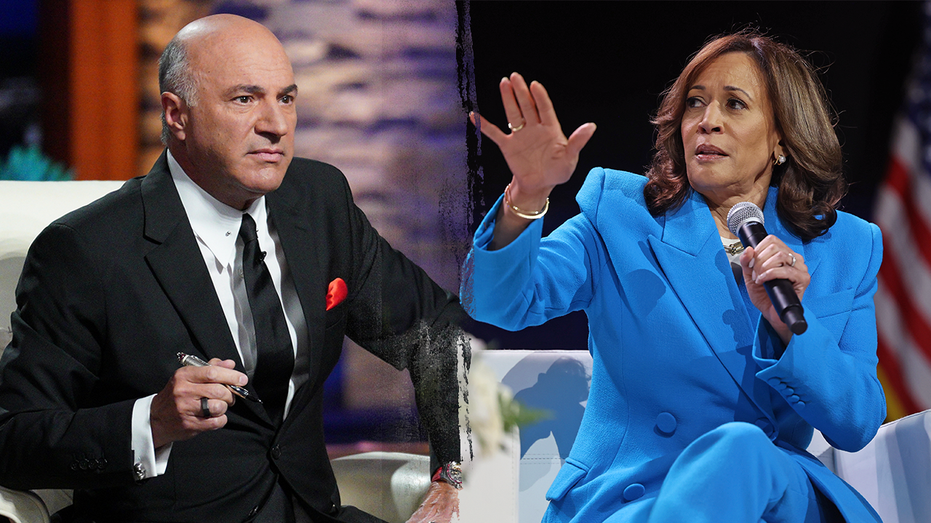 ‘Shark Tank’s’ Kevin O’Leary says Harris needs to stop hiding from press: ‘Come out wherever you are’