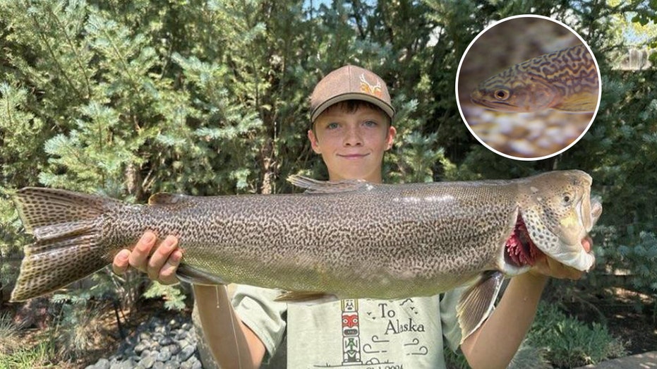 Teen smashes state fishing record for tiger trout