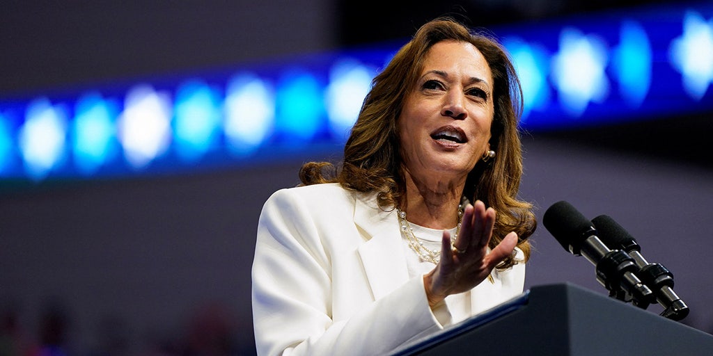 Trump campaign advisor tears into VP Harris: She can 'run' but she can't 'hide' from Biden's record