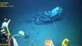 The Coast Guard Marine Board of Investigation (MBI) releases remotely operated vehicle footage of the Titan submersible&rsquo;s aft dome, aft ring, hull remnants and carbon fiber debris on the seafloor before upcoming technical testimony for the Titan MBI hearing in North Charleston, South Carolina, Sept. 18, 2024. This video led to conclusive evidence of the catastrophic loss of the Titan and the death of all five members aboard. - Fox News