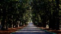 A view down Magnolia Lane during a practice round of The Masters golf tournament at Augusta National Golf Club. - Fox News