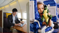 Mom asks social media users if she's wrong for traveling in first class with her child, ignites debate - Fox News