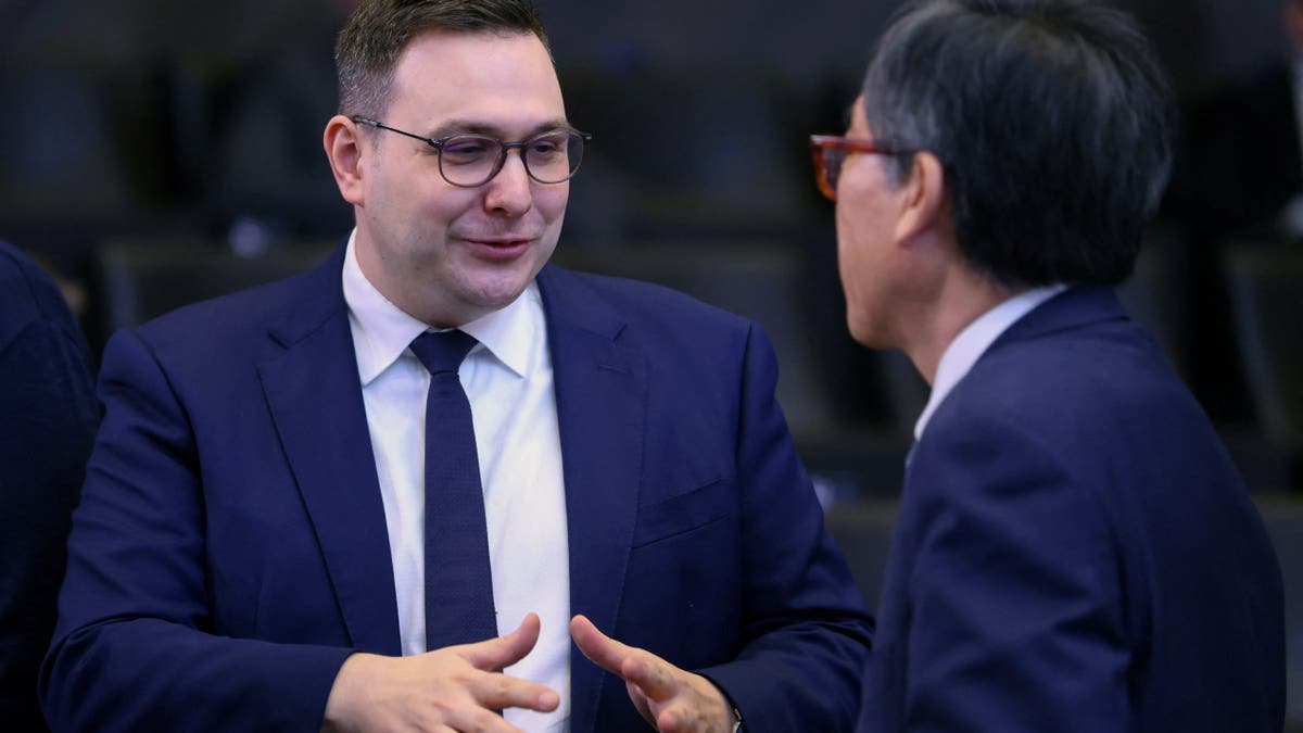 NATO Czech Foreign Minister