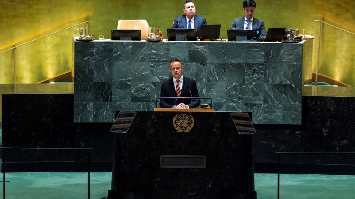 United Nations General Assembly