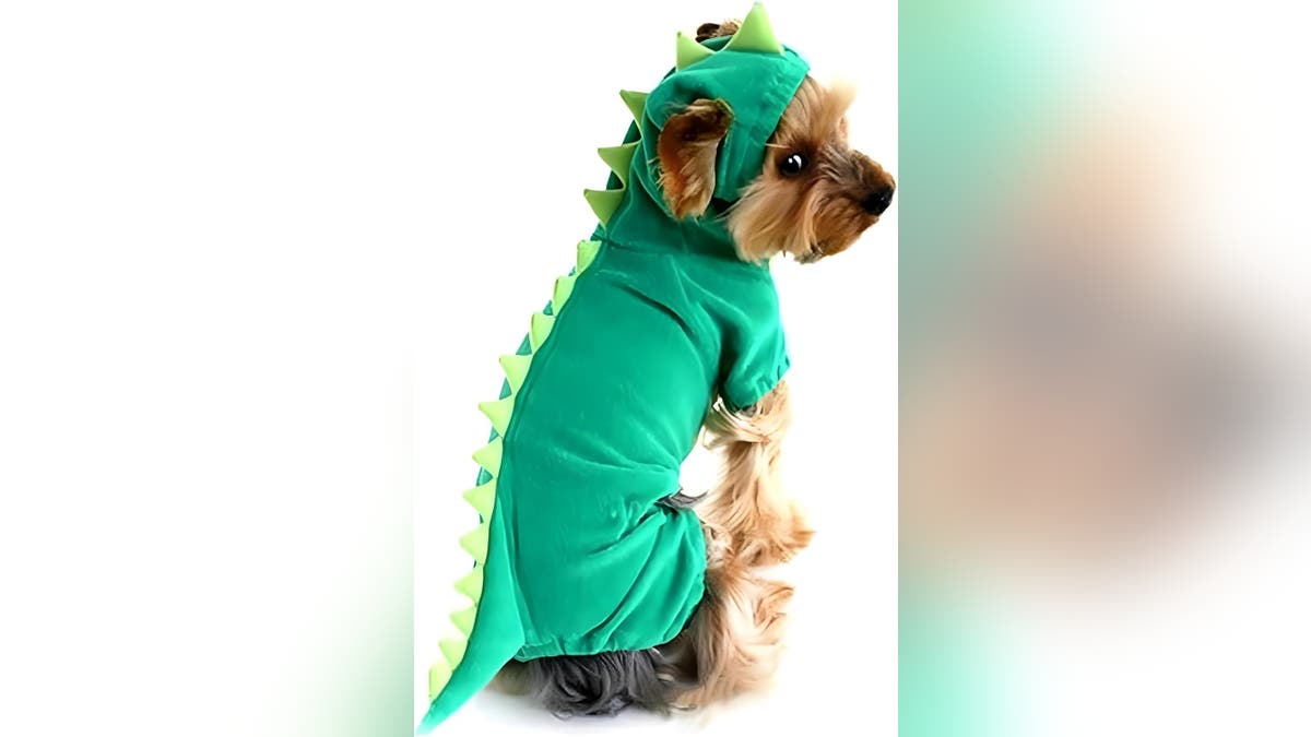 The cute dinosaur costume will be a huge hit.?