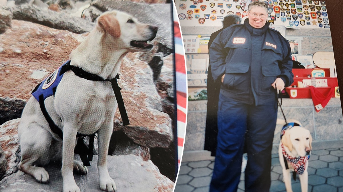 Bobbie Snyder, adiestradora, perro de búsqueda y rescate, Willow después del 11-S