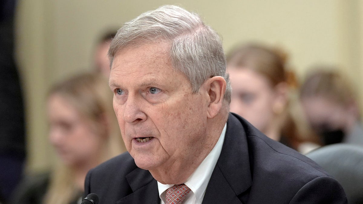 Vilsack testifies 