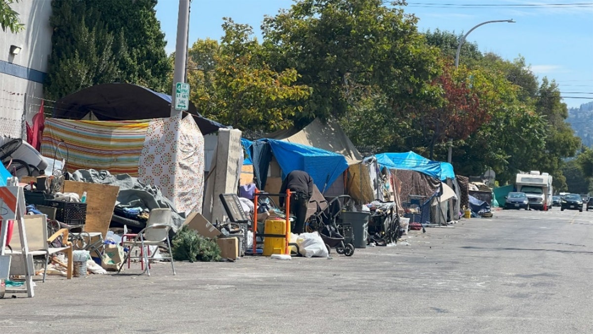 homeless camp sprawling down road in Berkeley, California