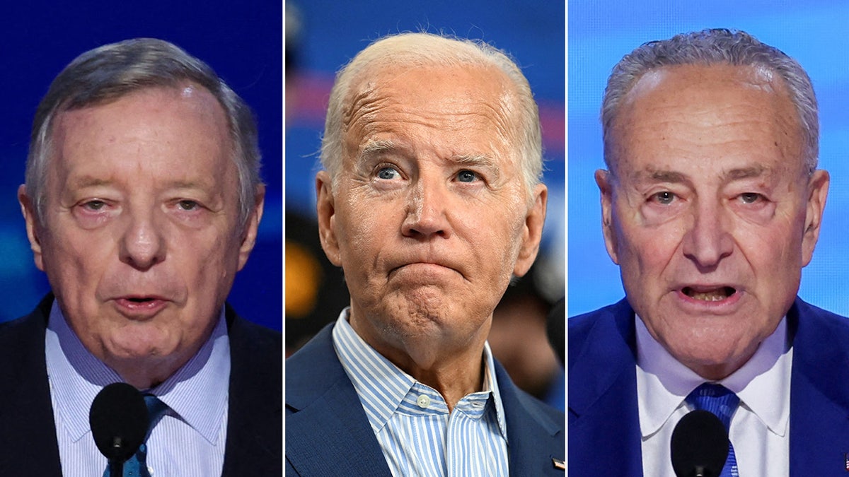 Dick Durbin, Joe Biden, Chuck Schumer