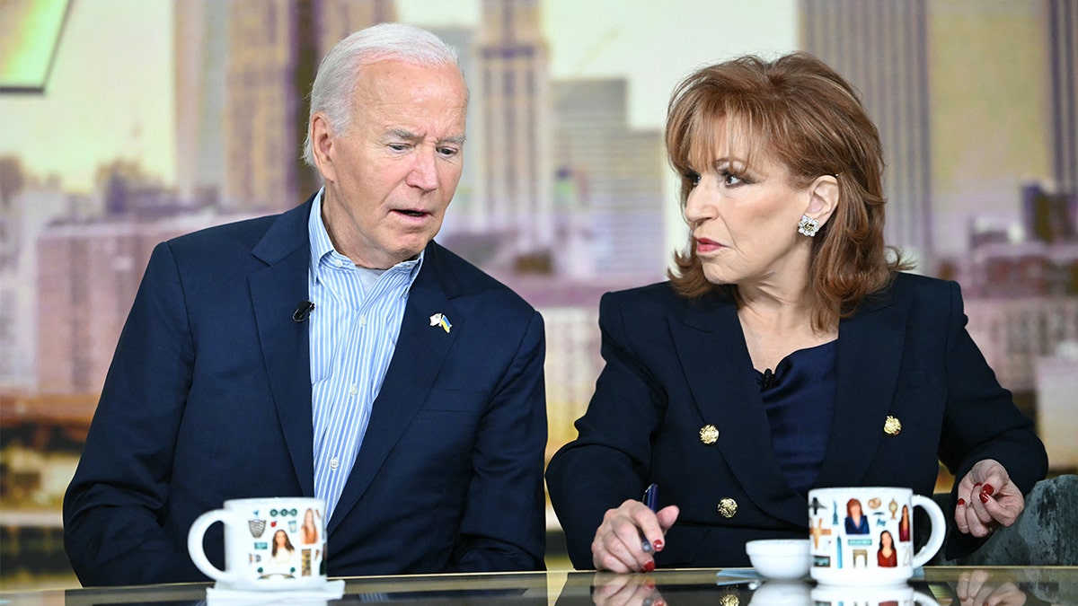 El Presidente Biden en The View