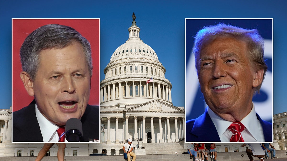 Steve Daines, Donald Trump in photo illustration with main image of the US Capitol