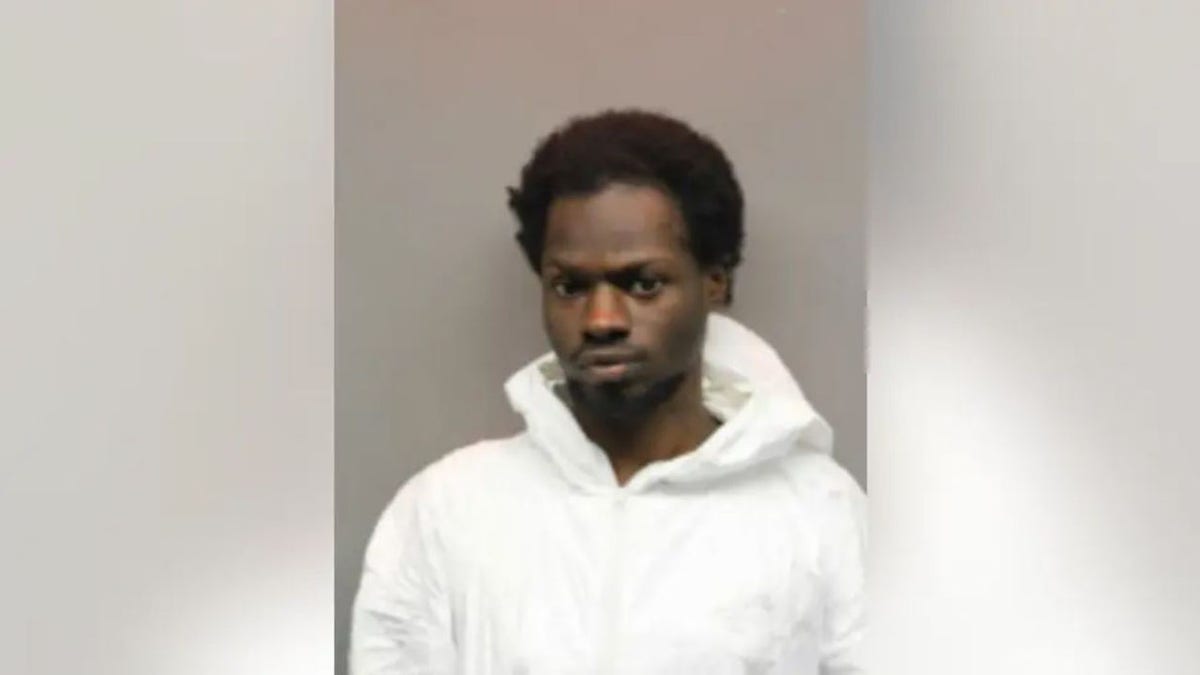 Chicago man charged in random shooting deaths on train | Fox News