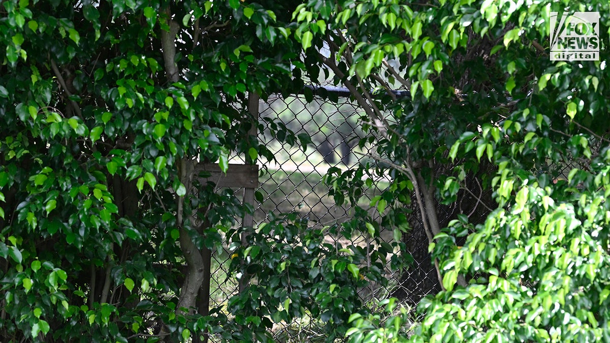 An exterior view of a gap in the vegetation along the Trump International Golf Club