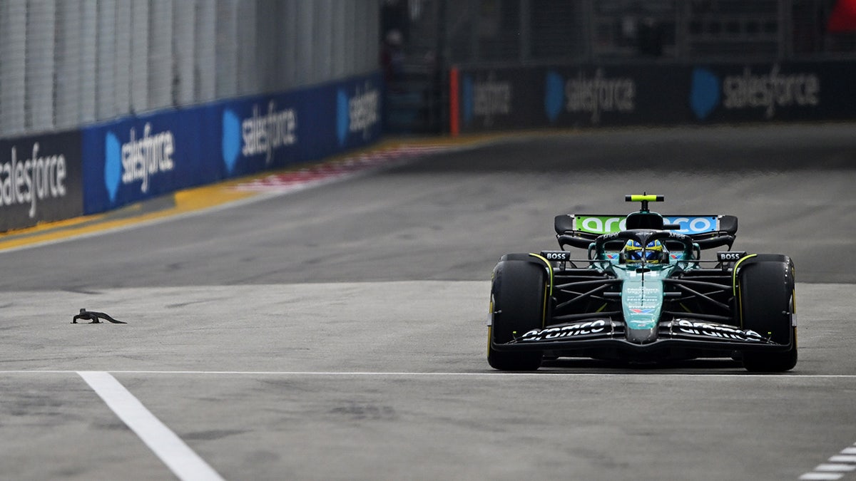 Fernando Alonso conduciendo junto al lagarto