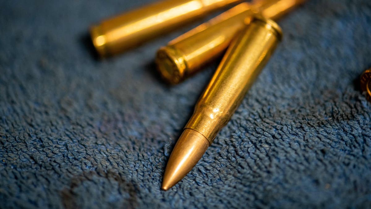 bullets image