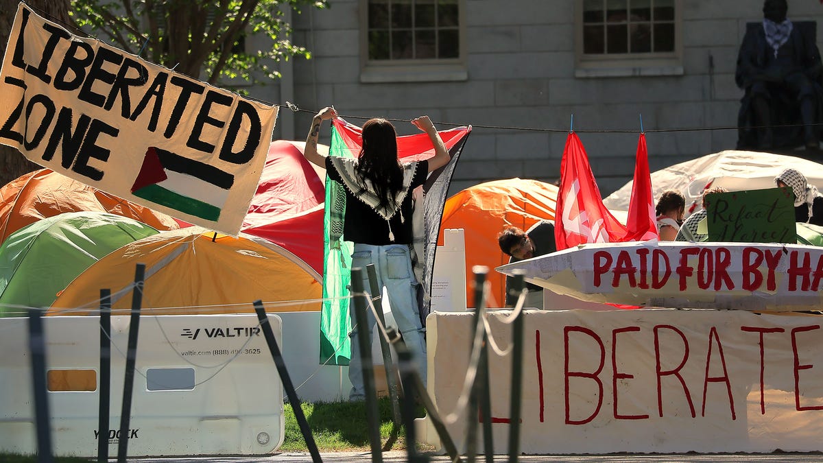 Campamento de Harvard