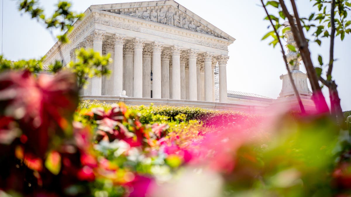 The Supreme Court gave Adaleia Cross a chance to fight for women's sports in court. (Photo by Andrew Harnik/Getty Images)