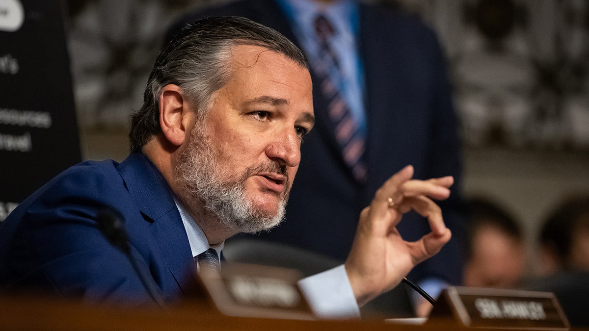 Cruz durante una audiencia en el Senado