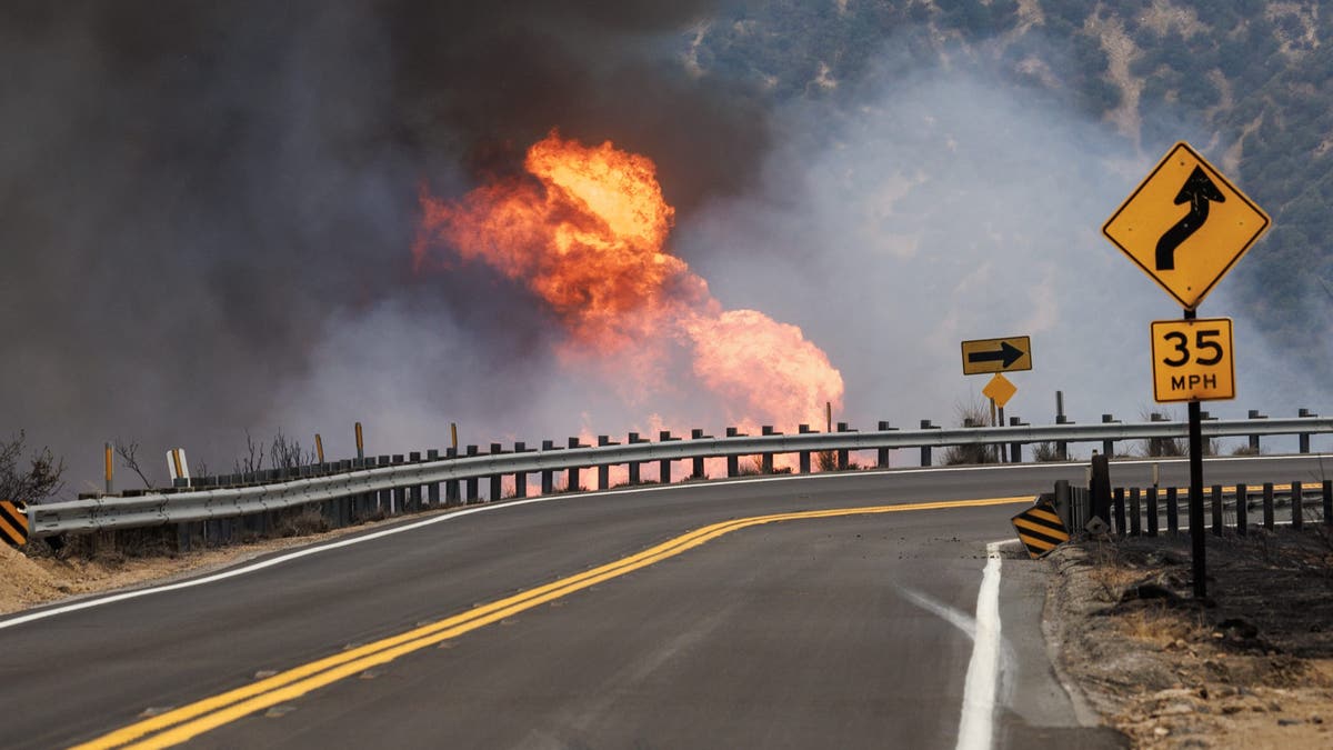 Wyland California wildfires