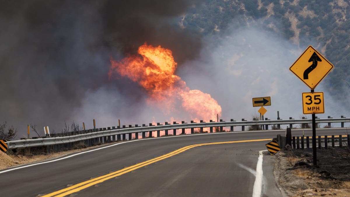 Wyland California wildfires