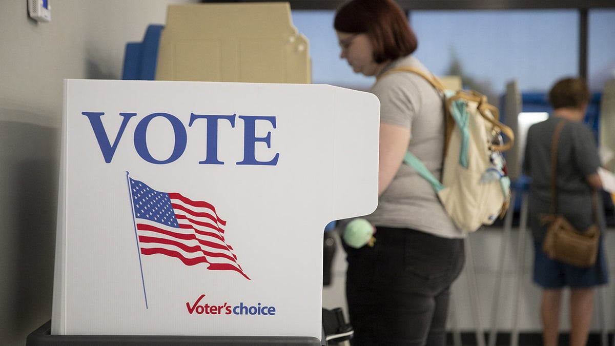 Minnesota aboriginal  voting