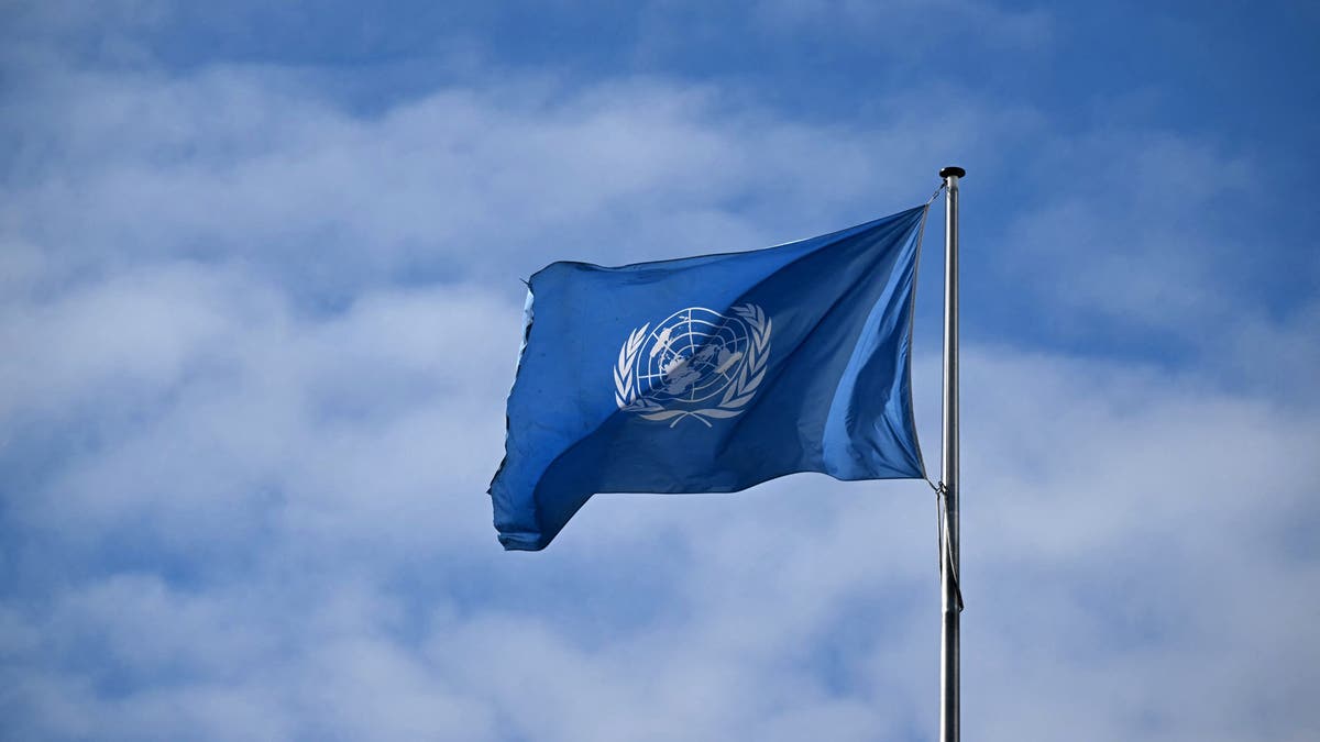 Bandera de la ONU