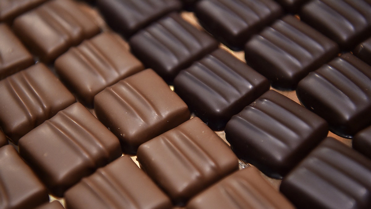 Trozos de chocolate con leche y chocolate negro.