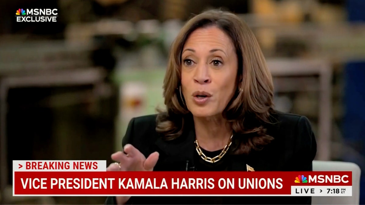 Kamala Harris on MSNBC