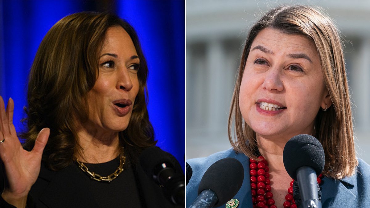 Kamala Harris and Elissa Slotkin split images