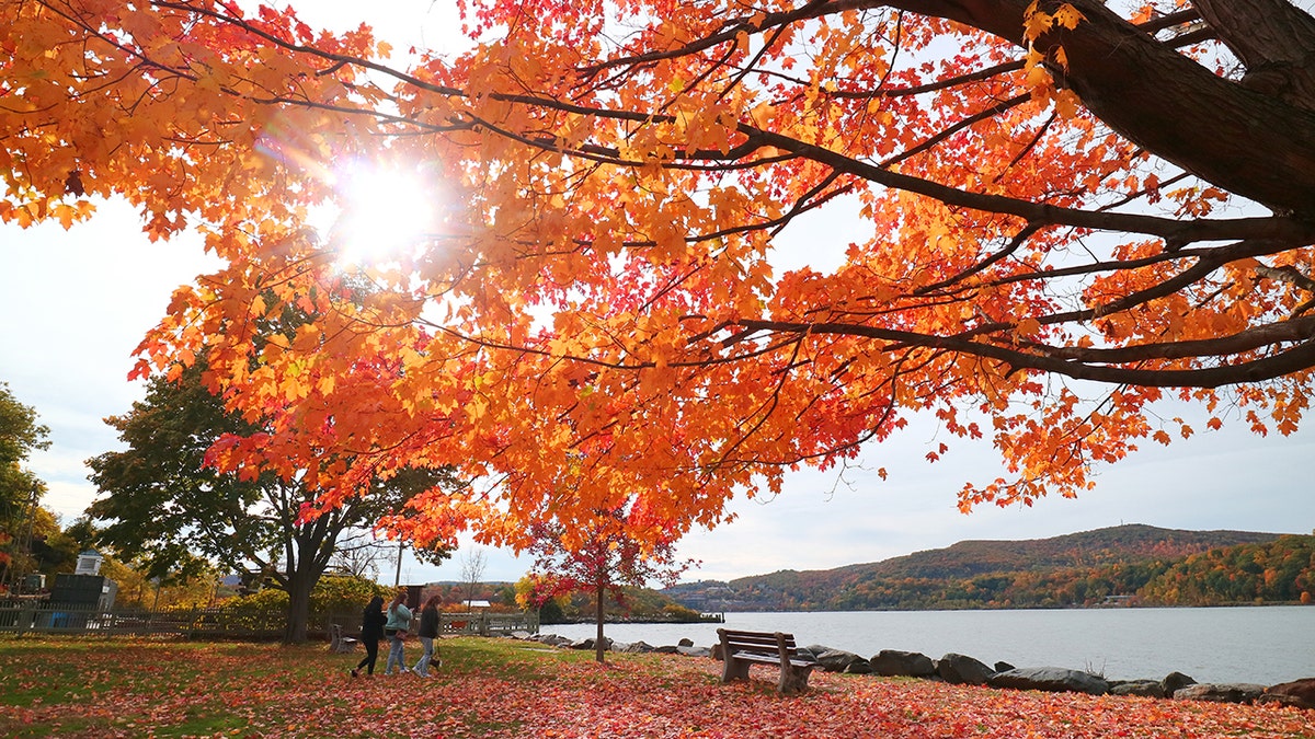 Río Hudson, Nueva York, en otoño