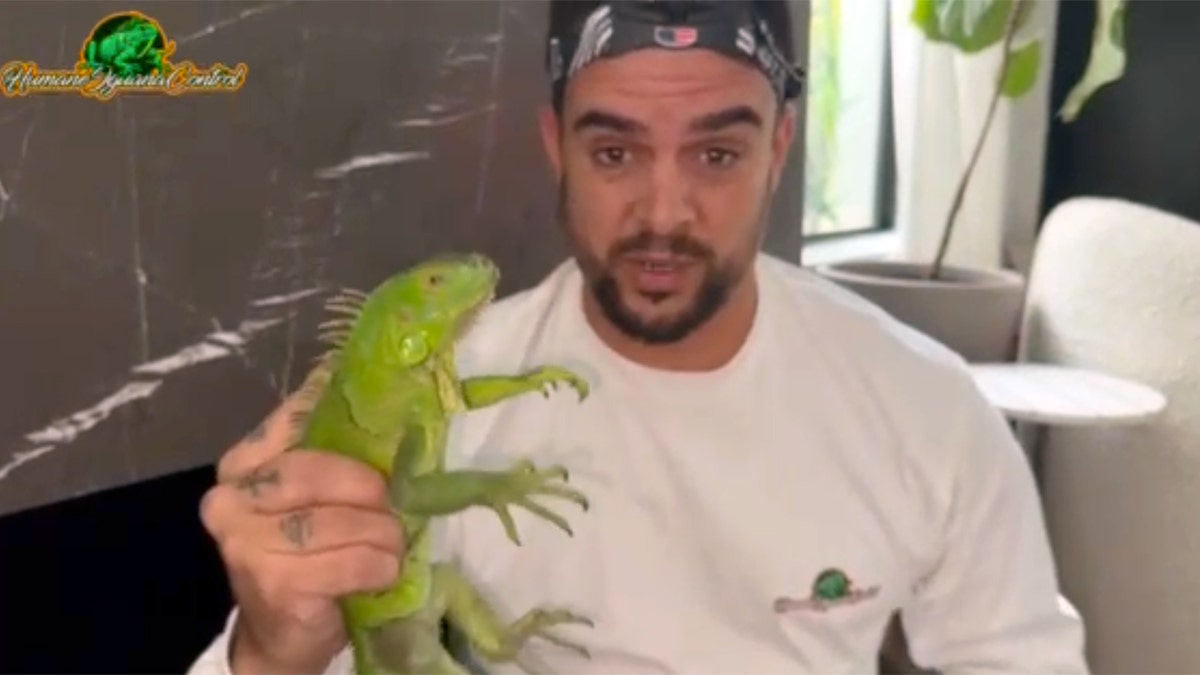 Michael Ronquillo sostiene una iguana