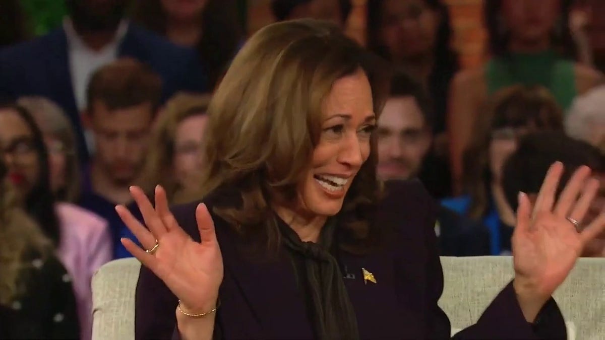 Kamala Harris at a rally