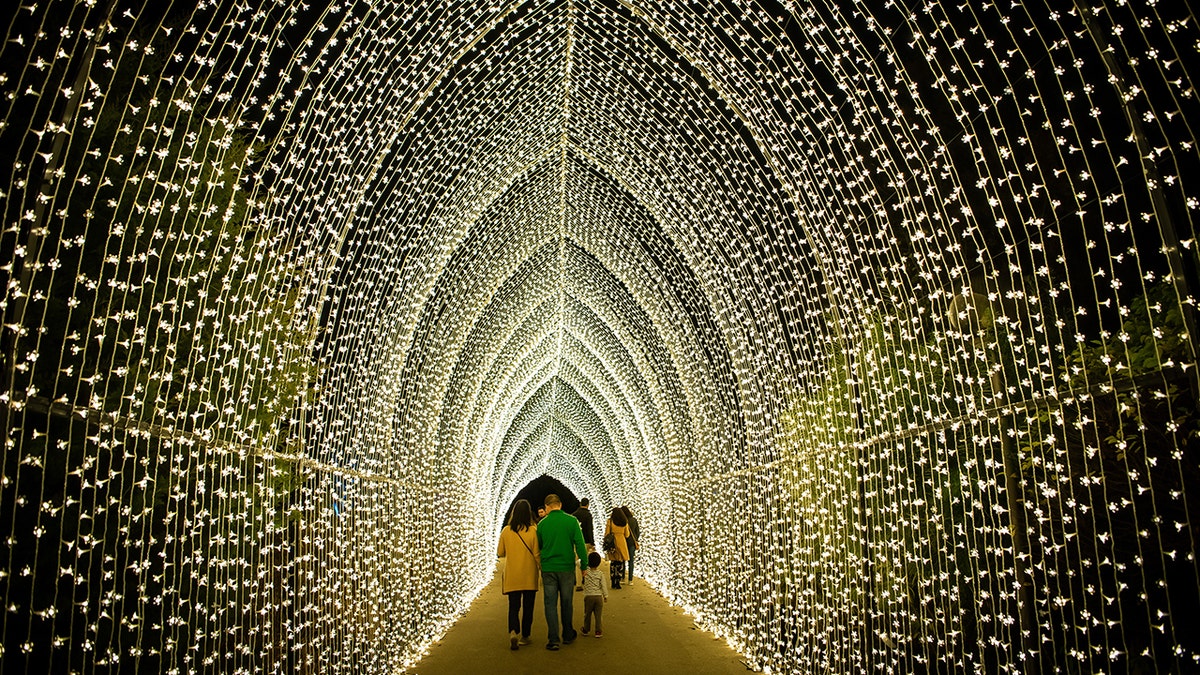 Paisaje de luces en el Jardín Botánico de Chicago. Crédito de la fotografía: Jardín Botánico de Chicago