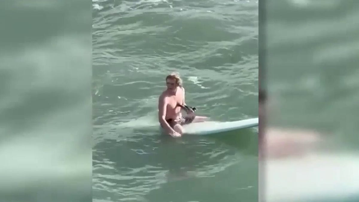 Un surfista sujeta un pájaro a bordo